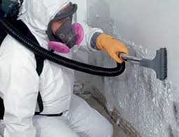 Best Commercial Mold Inspection  in El Cerrito, CA